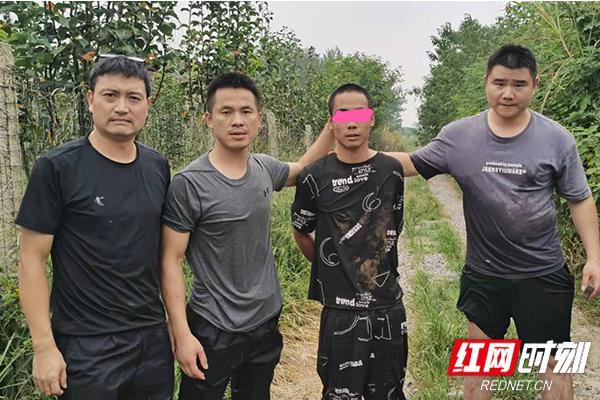 澧县红网最新消息揭秘，温馨有趣的日常故事