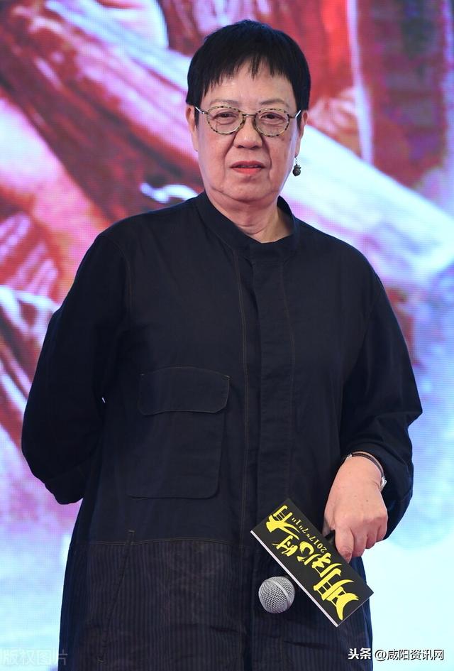 许鞍华最新电影深度探讨与观点阐述，深度解析与影评分享