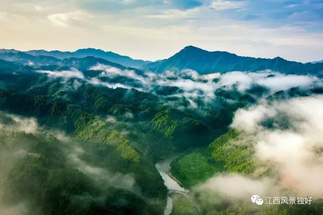 遂川宜华的魅力探索，最新资讯与无限魅力体验