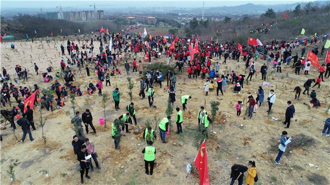 襄阳尹集最新发展动态，观点阐述与分析