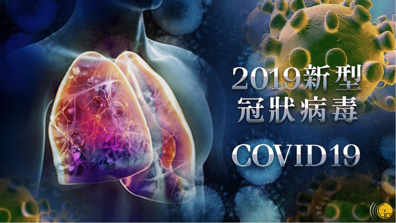 澳门最新通关时间变化，旅程中的学习与自信成就之路