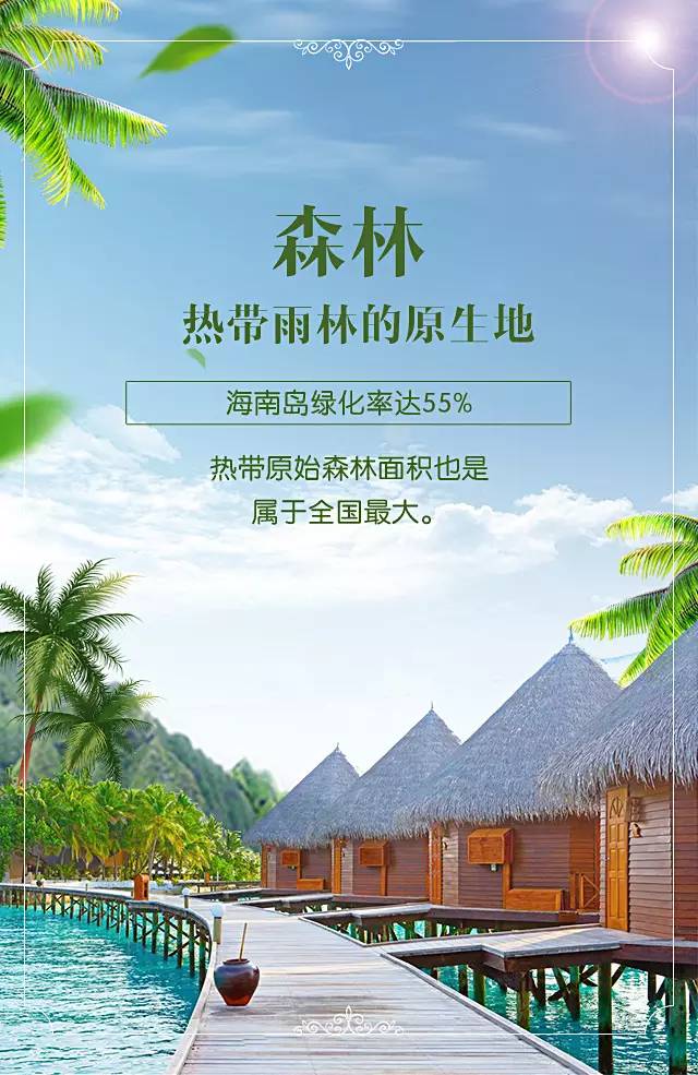 最新大健康行业探索，自然美景之旅，寻求内心平和宁静的旅程