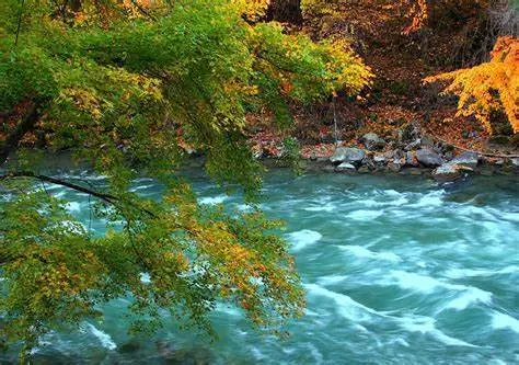 肖振龙最新自然之旅，邂逅美景，寻找内心平和之道