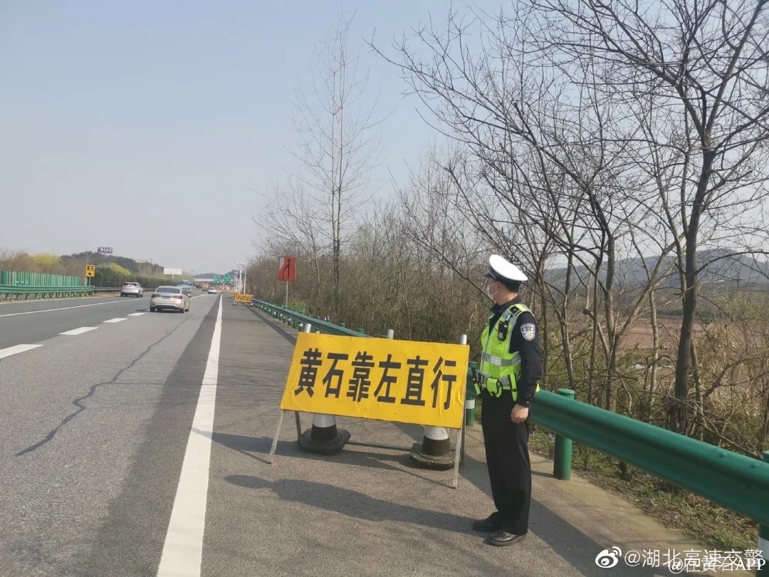 最新离黄政策深度解析