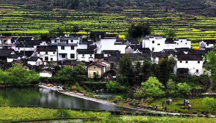 白山市巷弄深处的独特风味，隐藏在巷中的特色小店资讯速递