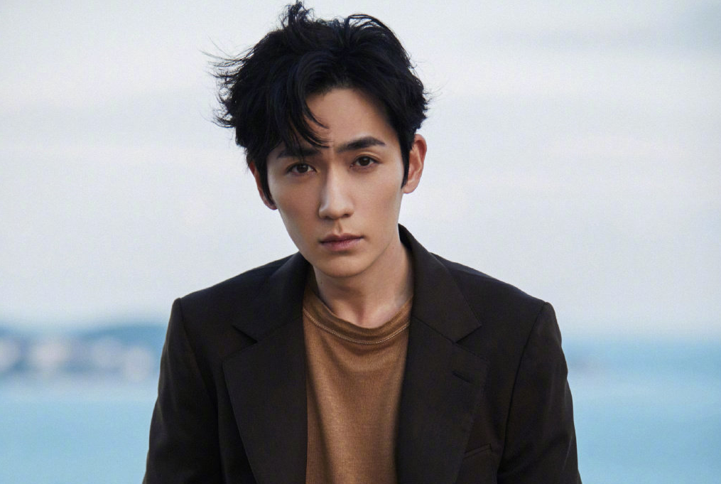 楚演员男，荧屏璀璨之星闪耀传奇