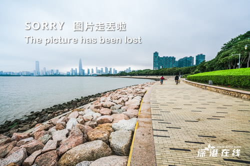 金泰妍写真集，魅力与才华的绝美融合