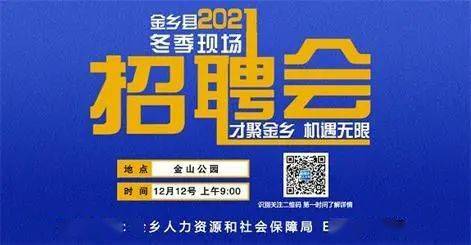 🌟金乡最新招聘资讯大揭秘🌟