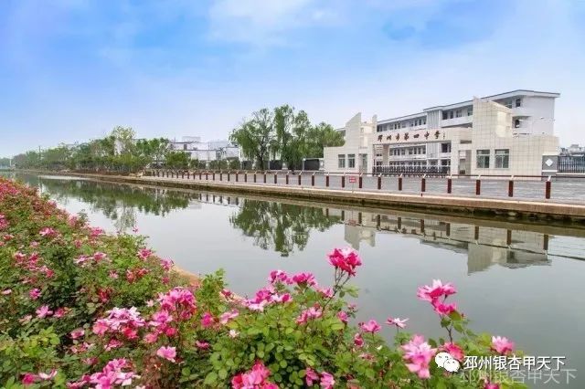 邳州命案背后的自然美景与内心平静探索