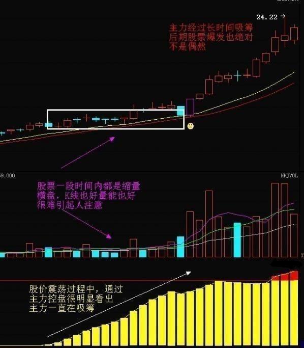 汾酒股票行情，学习成长之路，股市中的自信与辉煌成就