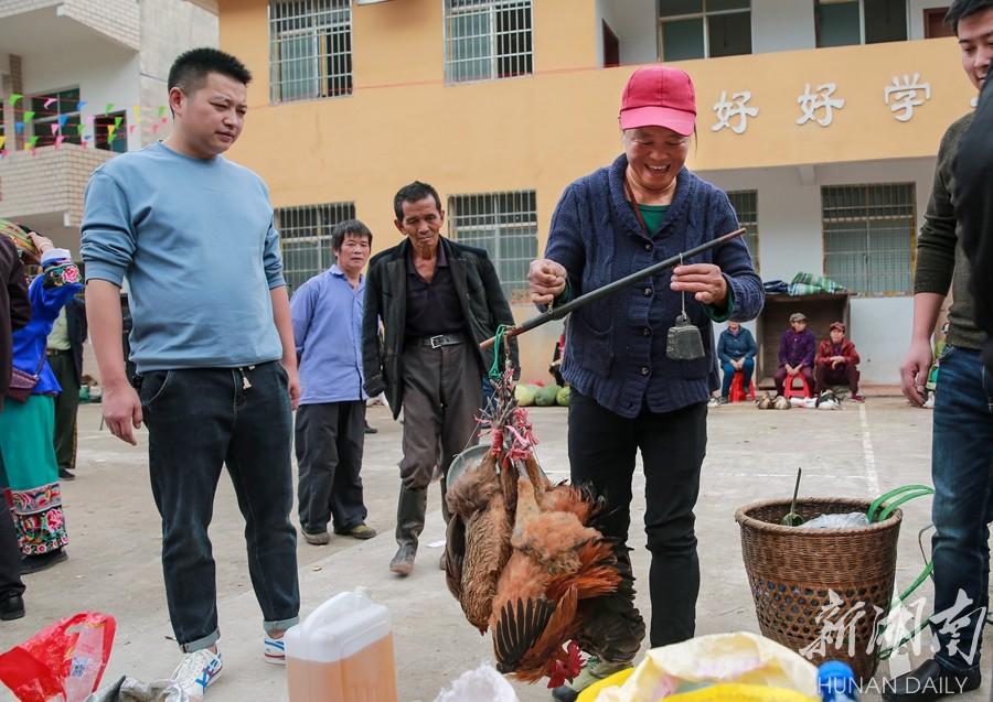 板栗上市的时间节点，历史背景与时代印记的探寻