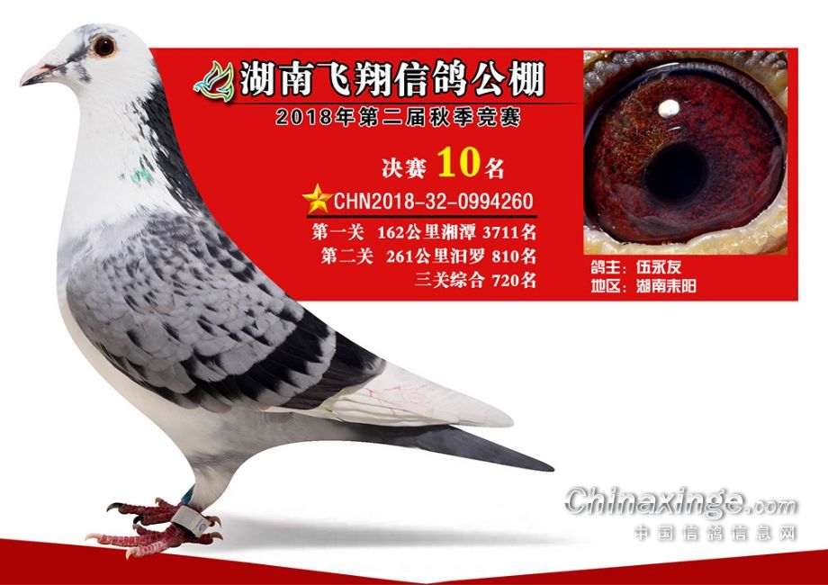 治愈之旅