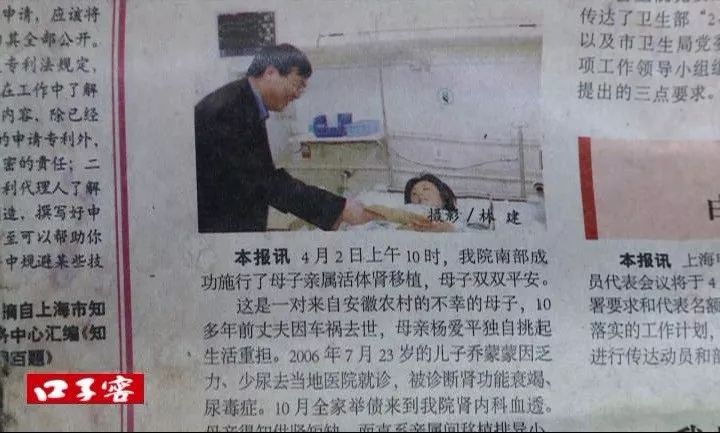 杨爱平2016年，日常故事与温馨陪伴的时光