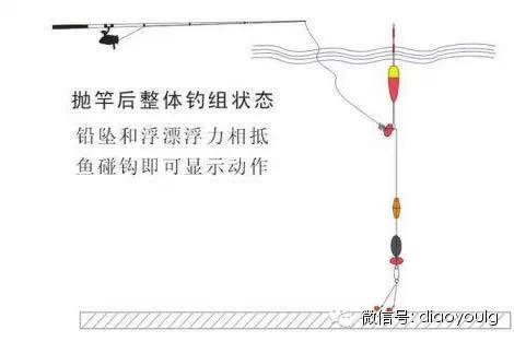 最新筏钓教程视频，技巧掌握与文化传承的钓鱼之旅