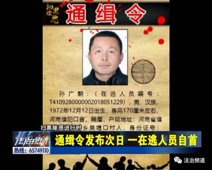 公安局最新通缉令背后的故事，小巷神秘小店揭秘