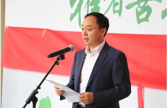 张村长详解乡村建设与发展参与步骤，如何投身乡村变革的指南