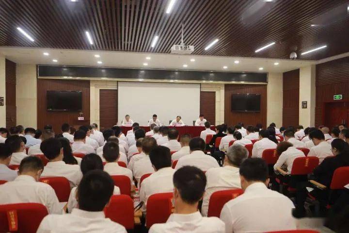 演员张天舒的成长之路，如何成为一名优秀演员的步骤指南？