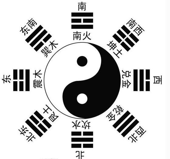 明星理论，光环下的反思与观点深度探讨