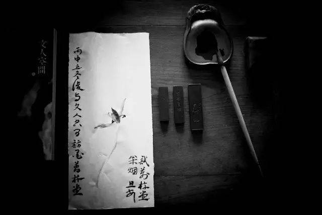 权墨绵绵最新章节深度解析与观点阐述