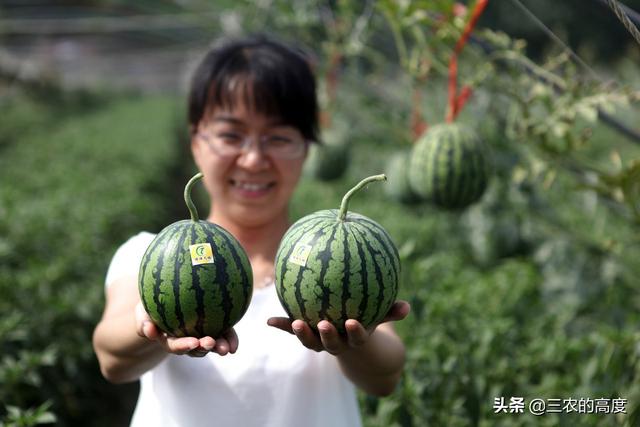 自动化焊接设备 第12页