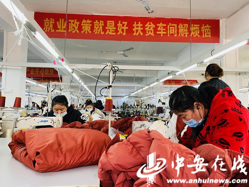 最新就业政策深度解析与解读✨