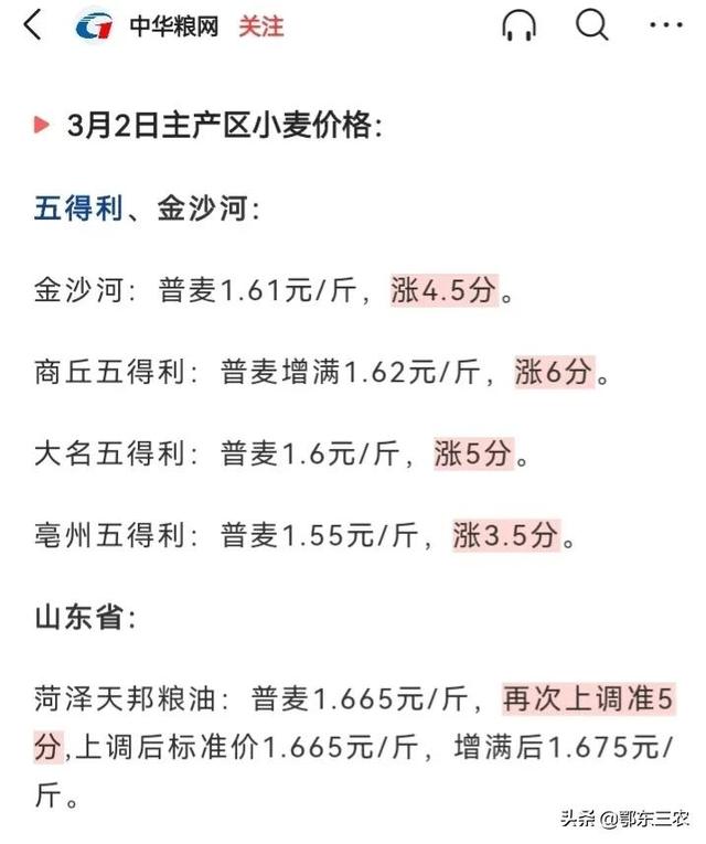 陕西小麦价格最新行情动态更新🍚
