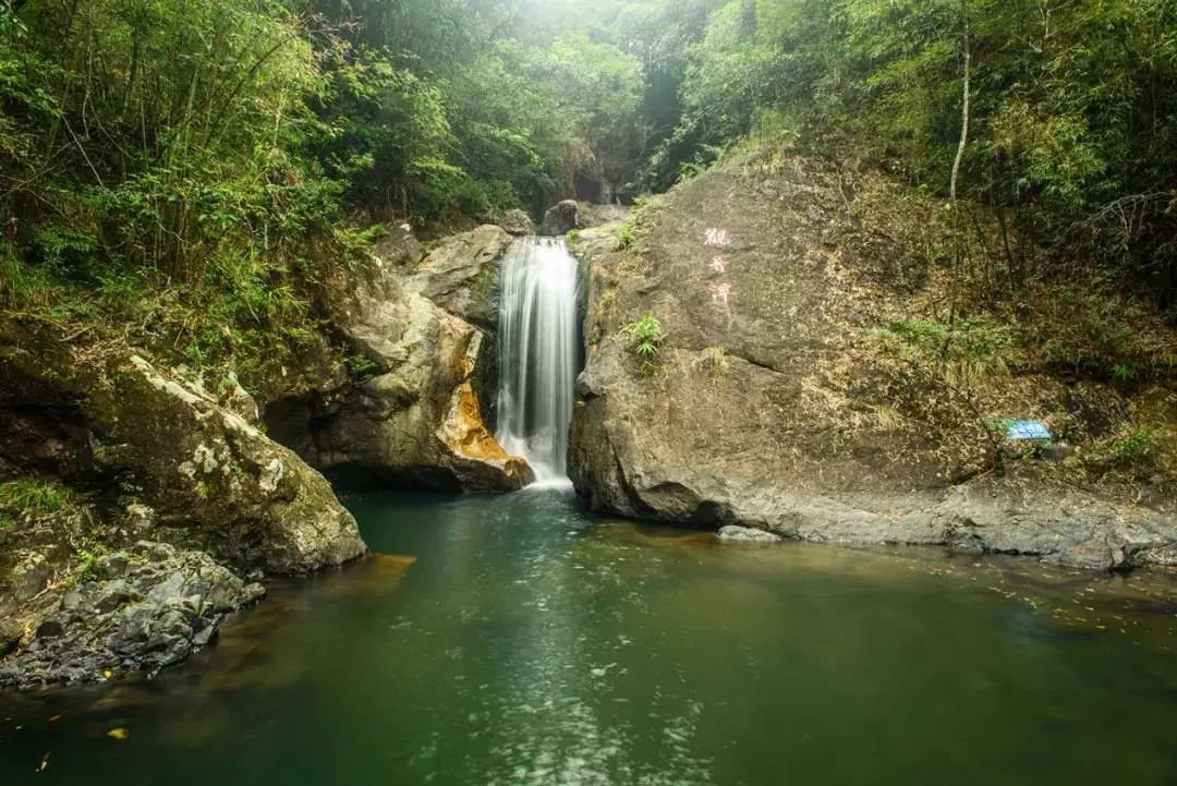 瘦倩最新，自然美景的心灵之旅探索