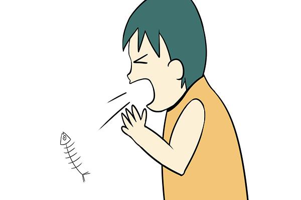 最新大鱼卡观点论述，全面解读与深度分析